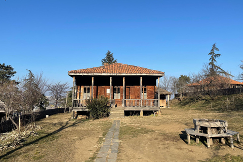 تبليسي: 12 منطقة في جورجيا - جولة مع خدمة النقل ذهابًا وإيابًا