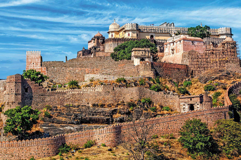 Depuis Udaipur : Excursion privée d&#039;une journée à Kumbhalgarh et Ranakpur