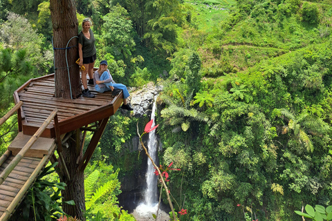 From Yogyakarta: Selogriyo Rice Terraces to Hidden Waterfall