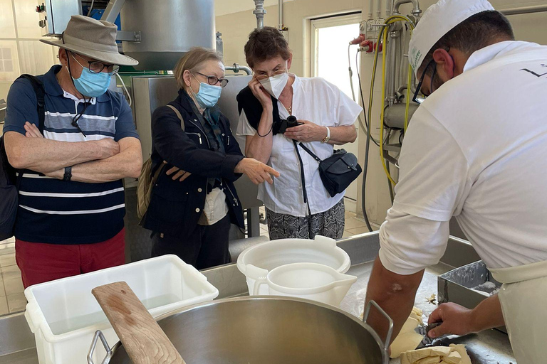 Puglia: Mozzarella Experience at an Apulian Farm Mozzarella Experience in English