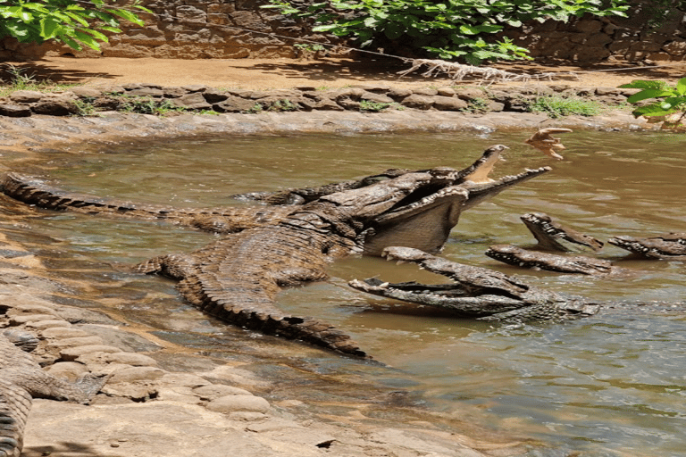 Mauritius: Southern Mauritius Private Tour with Tortoises