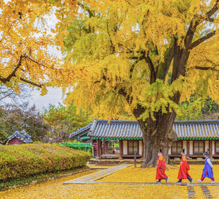 Jeonju: Multi-day Trips and Tours from Seoul