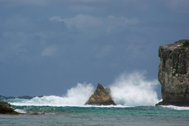 Pointe-à-Pitre: Rundvandring med guide och upphämtning
