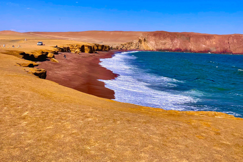 TREKKING PREMIUM GOLDEN SHADES