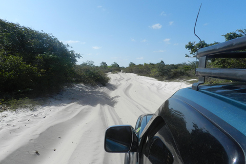 Excursão de dia inteiro combinando Lençóis Maranhenses, Lagoa Azul e Lagoa Bonita