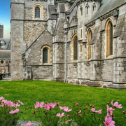 Private Family Tour of Dublin with Fun Activities for Kids