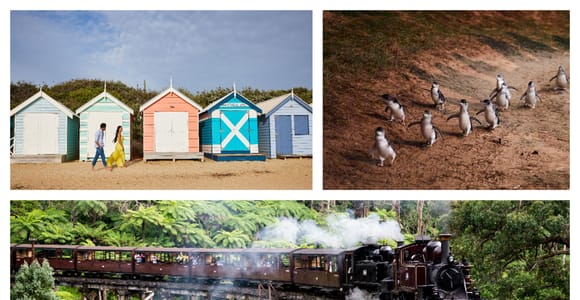 From Melbourne: Puffing Billy & Penguin Parade Day Tour