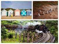 Melbourne, Brighton Boxes, Puffing Billy, and Penguin Parade - Housity