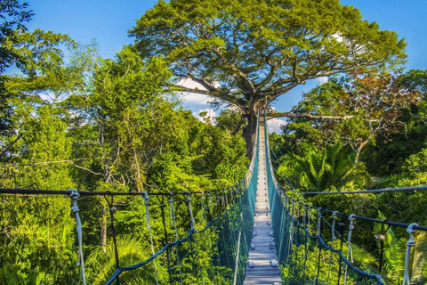 Excursión 4D Eco-Aventura Paraíso Amazónico - Puerto Maldonado