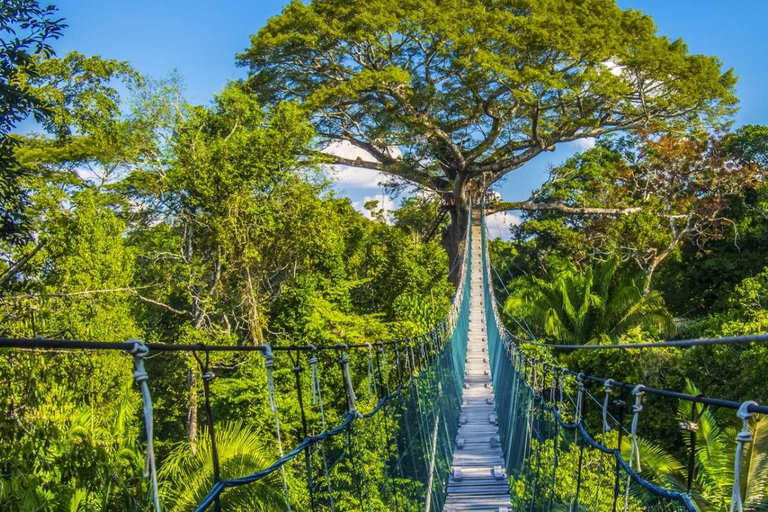 Excursión 4D Eco-Aventura Paraíso Amazónico - Puerto Maldonado