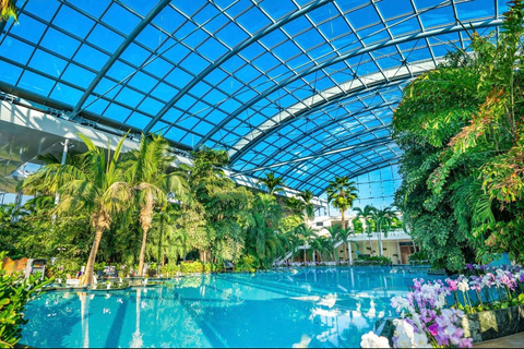 Bucharest: Therme Entry Ticket and Transfer