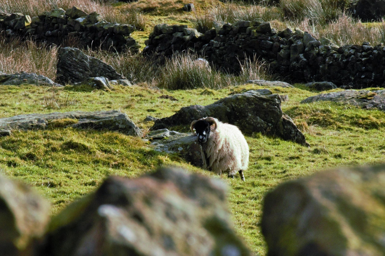 From York: Brontës, Haworth & Wuthering Heights