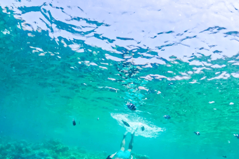 From Lombok: Gili Islands Snorkeling Tour with Hotel Pickup