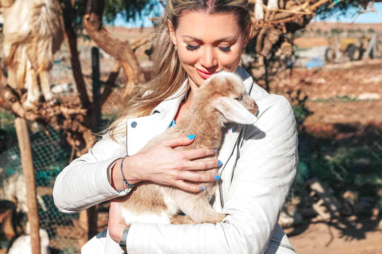 Agadir: Discover Argan Tree-Climbing Goats on a Morning Tour Pickup From Tamraght & Taghazout
