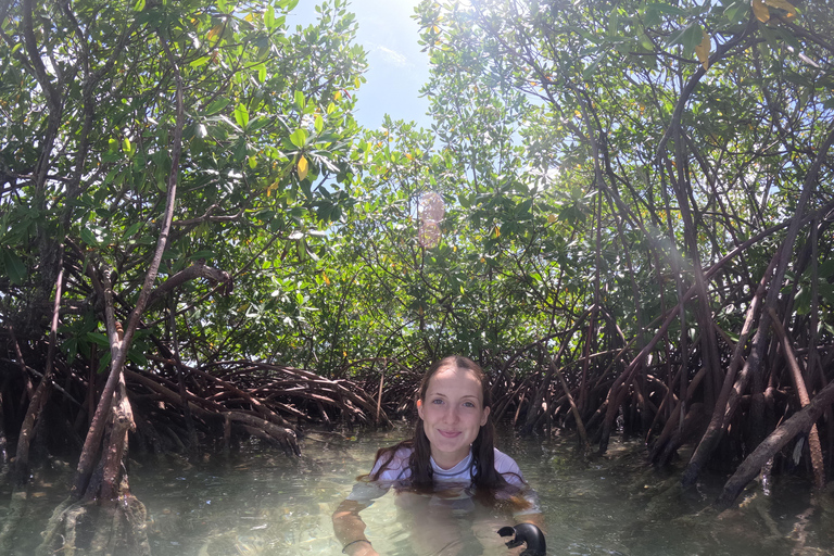 Guadeloupe: Discover the Grand Cul Sac Marin Nature Reserve Daytime boat tour of the Grand Cul Sac Marin Nature Reserve