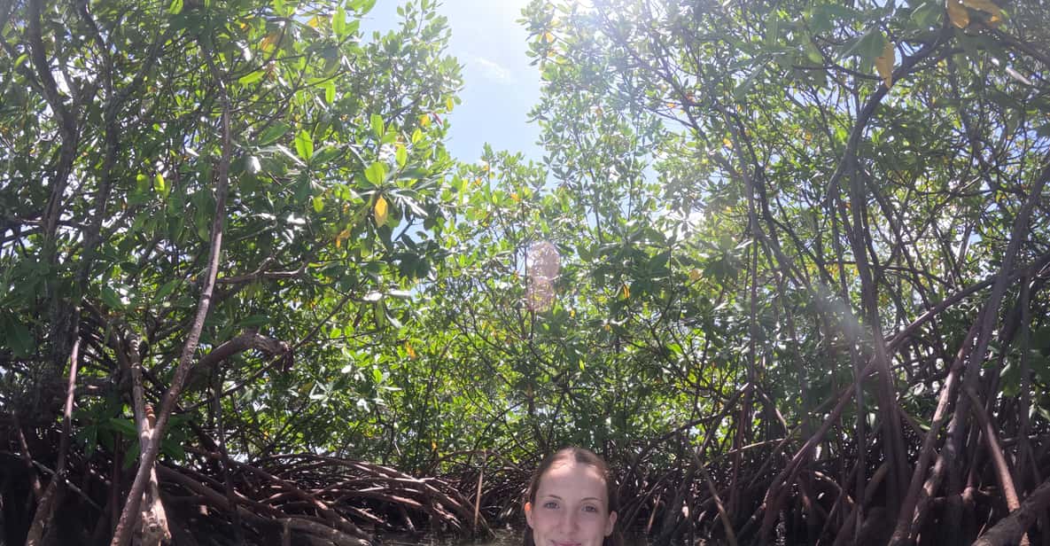 Afbeelding 5 van Guadeloupe: ontdek het natuurreservaat Grand Cul Sac Marin