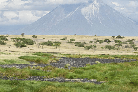 Arusha: Excursão de 3 dias ao Parque Nacional Tarangire e ao Lago Natron