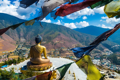 From Paro or Thimphu: Bhutan Viewpoints Guided Day Tour