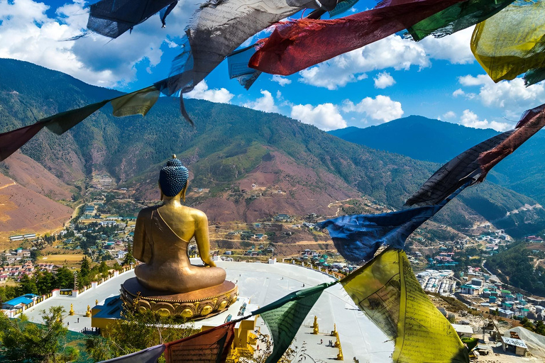 From Paro or Thimphu: Bhutan Viewpoints Guided Day Tour