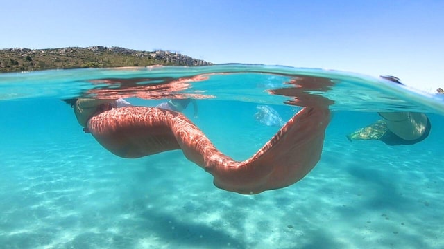 Cagliari: Mermaid experience