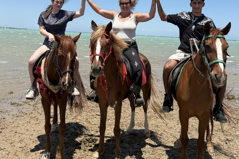 Hurghada: Horse Riding in the Desert & Beach Experience 1 HR Desert Horse Riding Experience without transfer