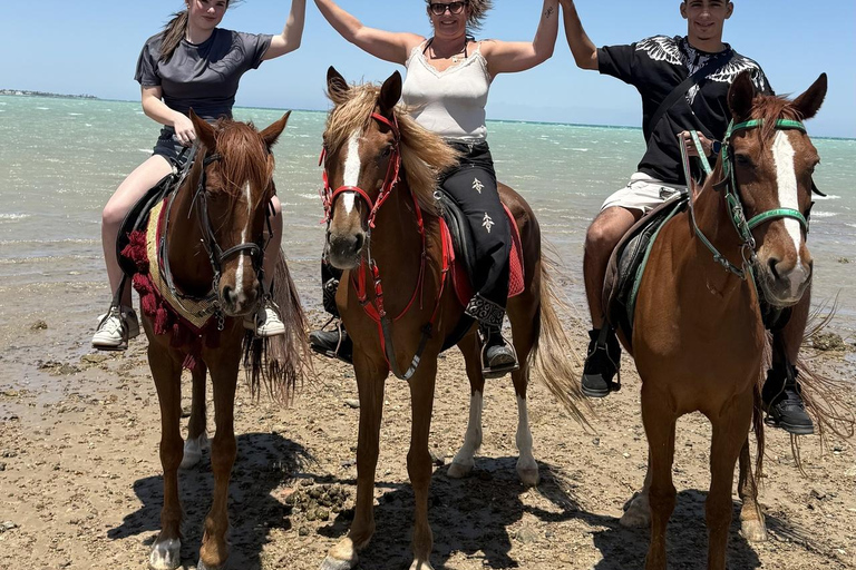 Hurghada: Horse Riding in the Desert & Beach Experience 1 HR Desert Horse Riding Experience without transfer