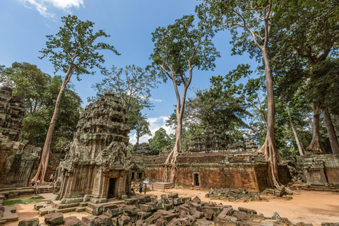 Angkor Zipline and Temple Tour with SunsetPrivate Tour