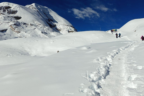 Nepal: Remote Kanchenjunga Conservation Trek ( 24 days)