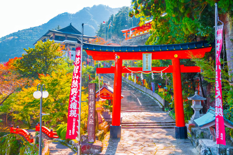 Kyoto, Nara, or Osaka: Private Day Trip with Guide and Car