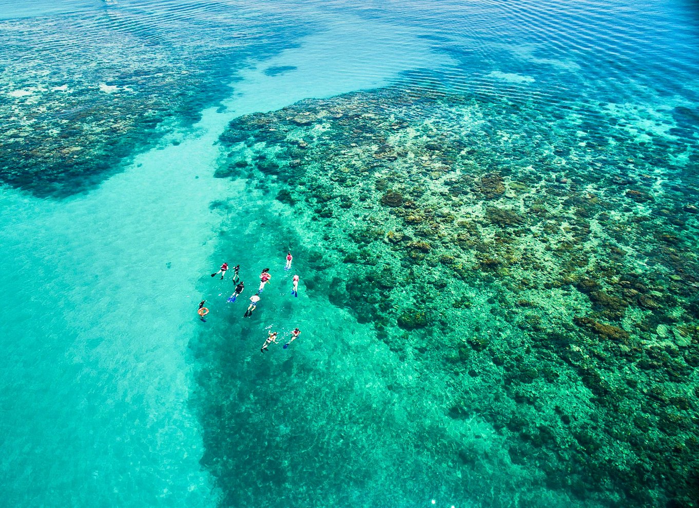 Cairns: Ydre og Coral Cay Snorkel- og dykkerkrydstogt