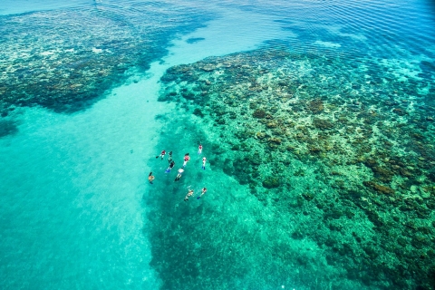 Cairns: Outer and Coral Cay Schnorchel- und TauchkreuzfahrtGreat Barrier Riff mit 2 Stopps & 1 x zertifiziertem Tauchen
