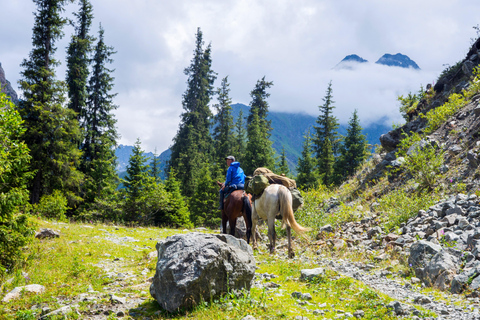 1 giorno di avventura a cavallo nei monti Borjomi1 giorno di avventura a cavallo nel Parco Nazionale di Borjomi