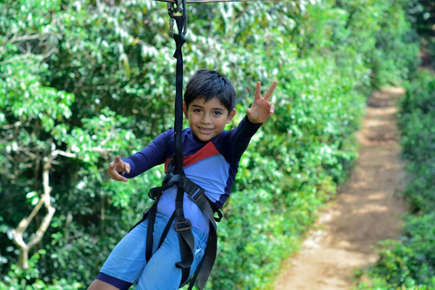 Cancún: przygoda na quadach, tyrolce i w cenote z lunchemCancún: quady, tyrolka i przygoda w cenocie z lunchem