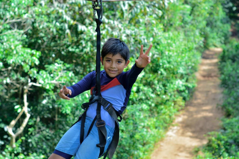Cancún: przygoda na quadach, tyrolce i w cenote z lunchemCancún: quady, tyrolka i przygoda w cenocie z lunchem