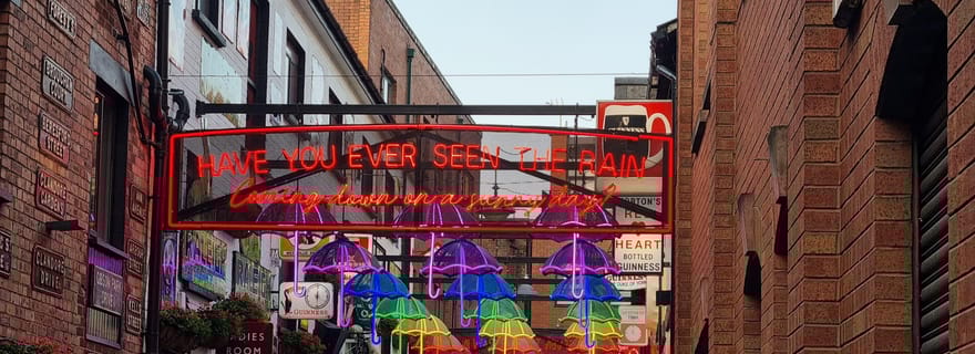 Belfast en 60 minutes : visite guidée express à pied du centre-ville