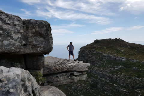 Cape Town: the Mountain, the Garden and the Vineyard