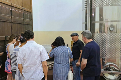 Kreta: Pałac Knossos, winiarnia i oliwa z oliwek z lunchem