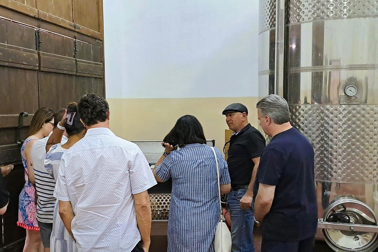 Kreta: Pałac Knossos, winiarnia i oliwa z oliwek z lunchem