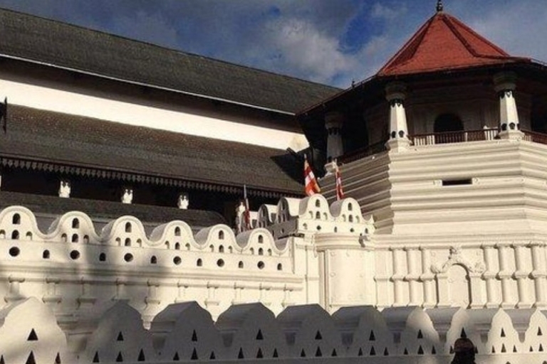 Kandy: Prywatna wycieczka The Last Kingdom z portu w Kolombo