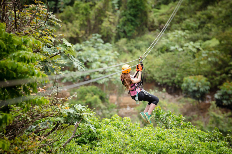 Ab San Juan: Zipline &amp; Toro Bike Tour mit Transport