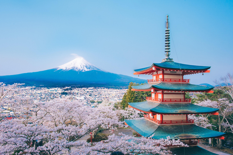 Från Tokyo: Mount Fuji Highlight Photo Spots heldagstur