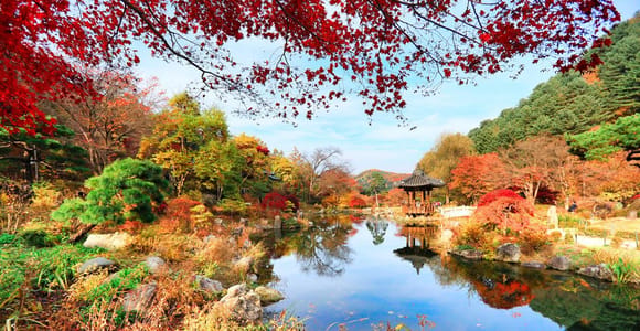 Seoul: Insel Nami und Garden of Morning Calm mit Schienenfahrrad-Option