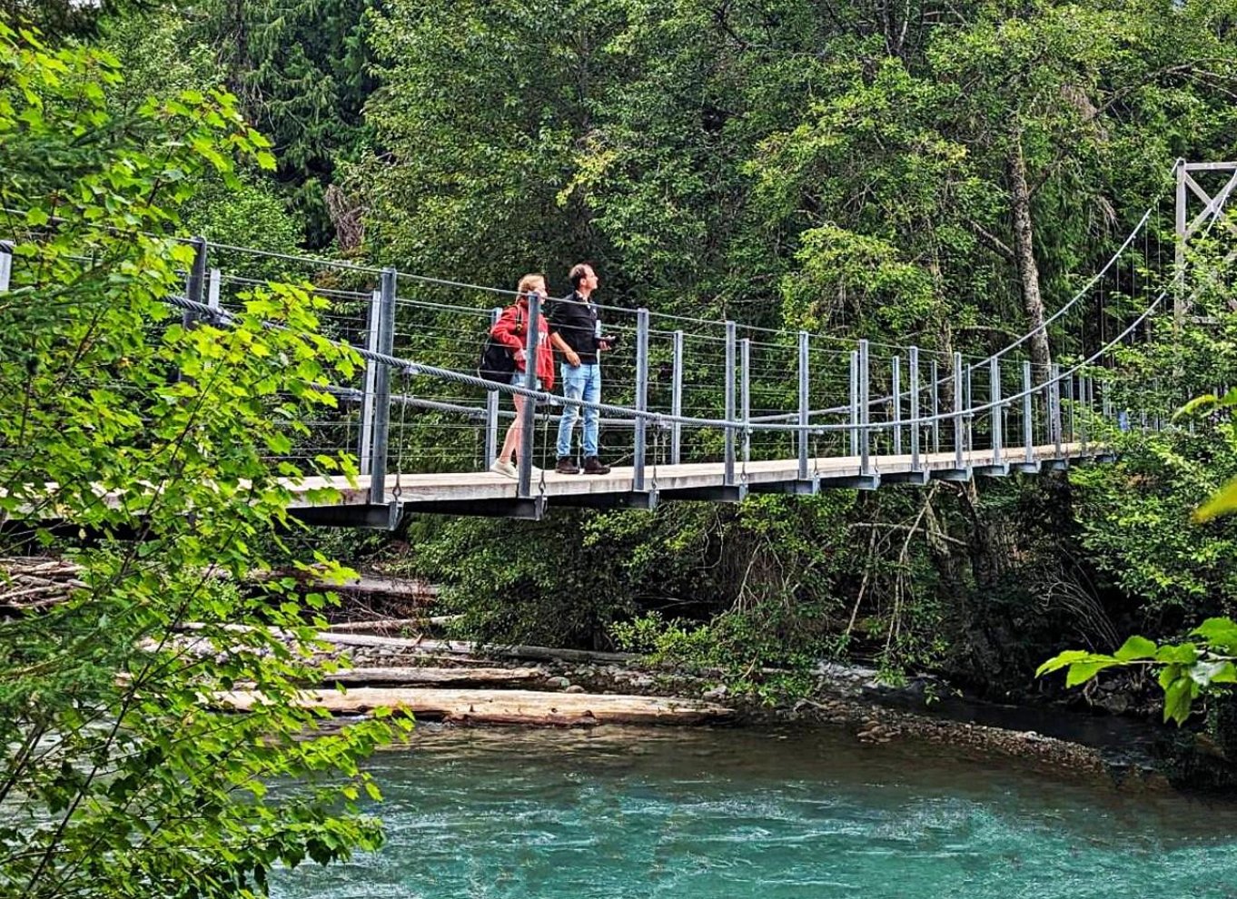 Whistler: Morgen med bjørnene Land Rover naturskøn udflugt