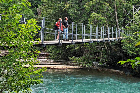 Whistler: Morning with the Bears Land Rover Scenic Tour