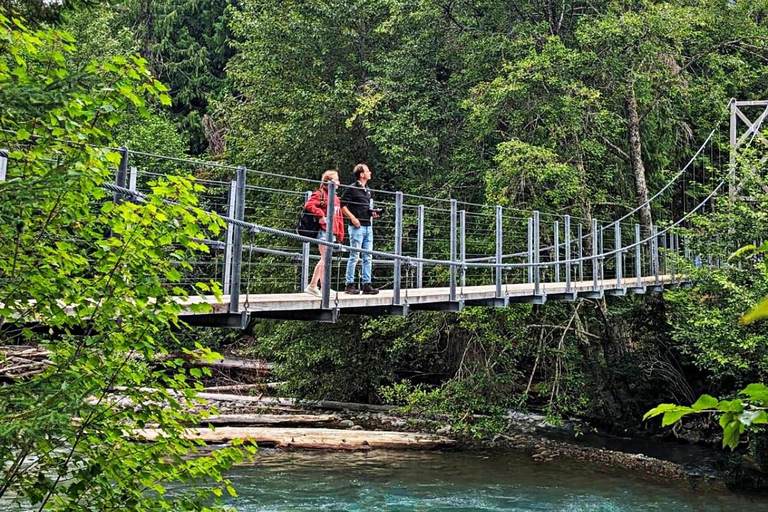 Whistler: Morning with the Bears Land Rover Scenic Tour