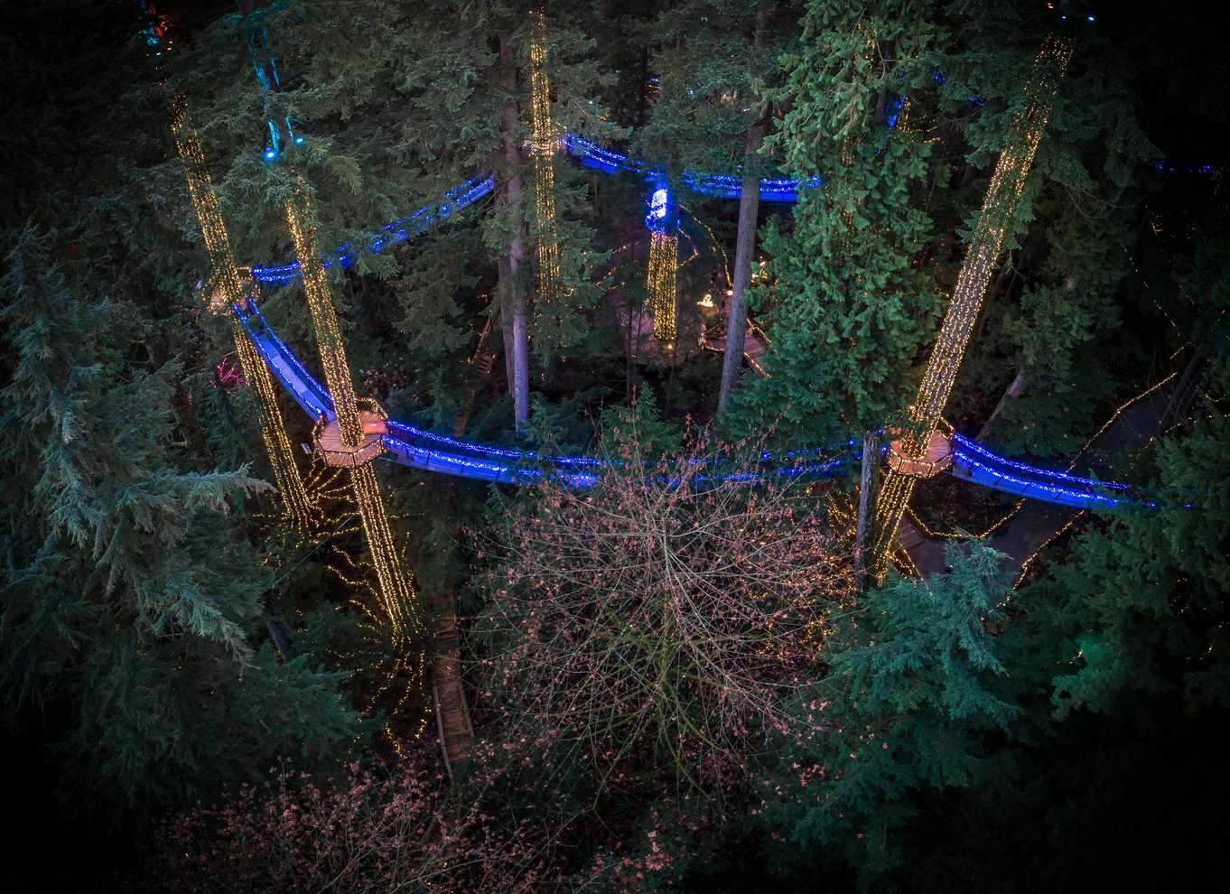 Vancouver: Capilano Suspension Bridge Park billet