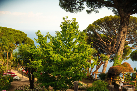 Positano, Amalfi & Ravello Trip with Seaside Lunch From Rome Positano, Amalfi & Ravello Trip with Seaside Lunch From Rome