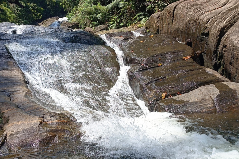 Sinharaja-Regenwald: Tour mit Wanderung zu 5 Wasserfällen
