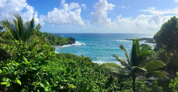 Maui: Road to Hana Sightseeing Tour
