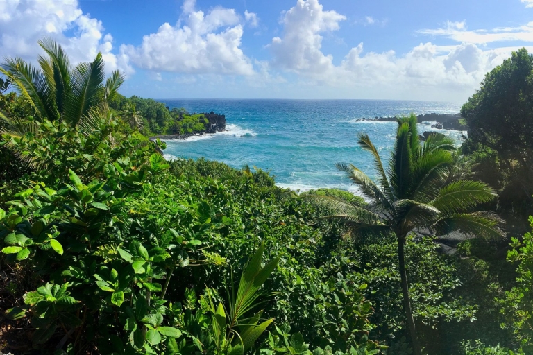 Maui: Sightseeingtour van een hele dag naar HanaRondleiding met lunch